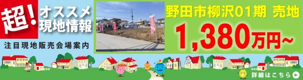 野田市柳沢01期